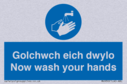 bilingual-sign--welsh--english-with-hand-wash-symbol~